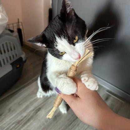 Purriva Natural Silvervine Dental Sticks