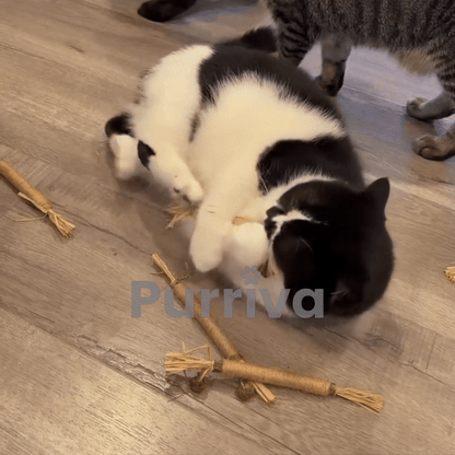 Purriva Natural Silvervine Dental Sticks