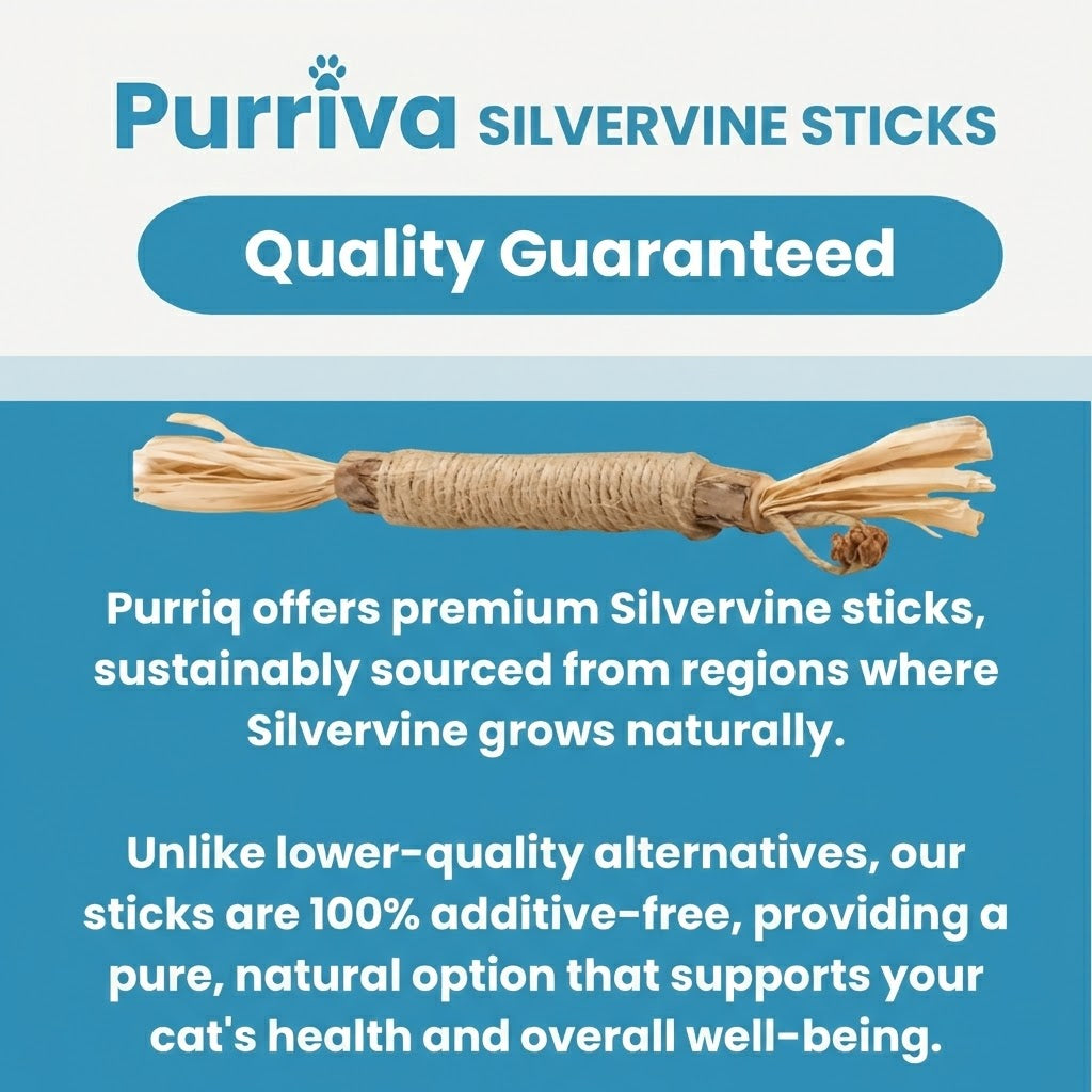 Purriva Natural Silvervine Dental Sticks
