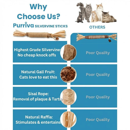 Purriva Natural Silvervine Dental Sticks